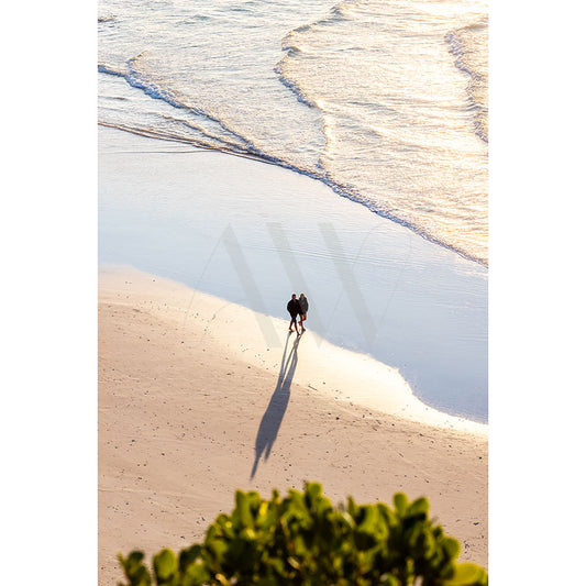 A couple walks hand in hand on a sunlit beach, casting long shadows on the sand, while waves gently reach the shore. Green foliage appears in the foreground, enhancing the serene, romantic atmosphere captured in Byron Bay Walkers Image 6940 by AWP Image Library.