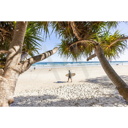 In Byron Bay Wategos Image 5761 by AWP Image Library, a surfer with a surfboard crosses the sandy beach toward the ocean, framed by palm trees under a clear blue sky, with people visible in the distance.