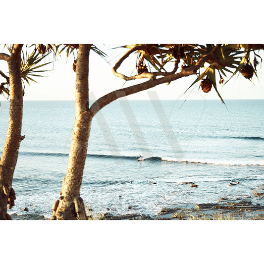 A surfer rides a gentle wave in clear daytime waters at Moffat Beach, framed by tree trunks and pine foliage. The scene of Caloundra Image 8380 from AWP Image Library shows the blue ocean stretching to the horizon with a rocky shoreline to the right.