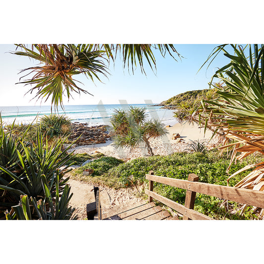 Coolum Beach Image 9698 by AWP Image Library captures a beach scene of clear blue water, sandy shores, and lush green tropical plants framing the foreground. A wooden pathway leads to the beach under a clear sunny sky.