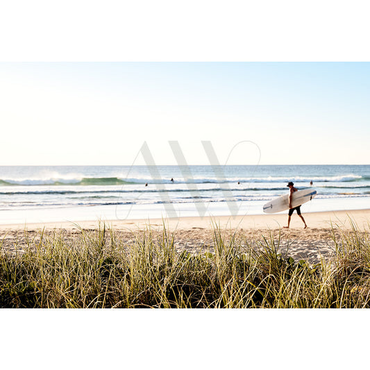 A person carrying a surfboard walks along a sandy beach with grassy foreground at Coolum Beach. The ocean from AWP Image Librarys Surfer Image 9361 shows calm waves, people in the water, and a clear sky.