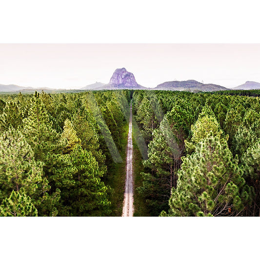 The Glass House Mountains Drone Image 0335 by AWP Image Library showcases a narrow dirt road winding through a dense green forest under a clear sky, leading to the stunning peak of the Glass House Mountains on the Sunshine Coast.