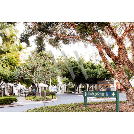 The Hastings Street Image 7674 by AWP Image Library depicts lush green trees lining a road with a street sign for Hastings Street and directional arrows. The scene shows a calm, well-maintained area with background buildings.