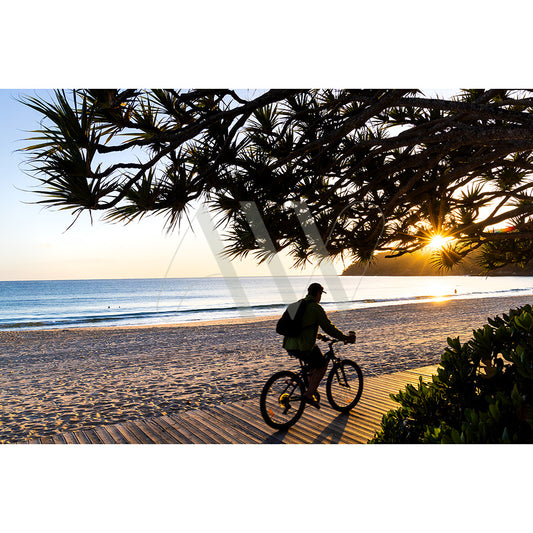 Main Beach Cyclist Image 7763 by AWP Image Library captures a person cycling on a beachfront path at sunset, with the ocean in view, lush trees lining the path, and a clear sky overhead.