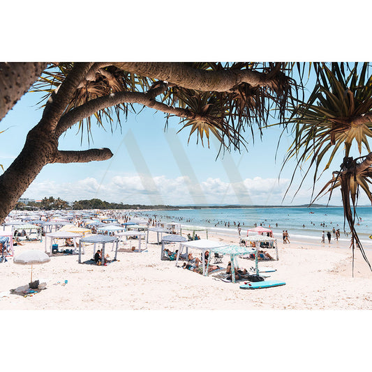 A sunny view of Noosa Main Beach 4838 by the AWP Image Library shows holidaymakers under umbrellas and tents on a calm ocean shore with swimmers and surfers. Large-leaved trees frame the top, providing shade like a Coolcaban beach shade on the white sandy beach.