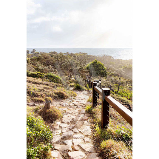 A stone path lined with wooden railings meanders through grassy terrain, evoking the scenic charm of Noosa National Park 3128 by AWP Image Library. It leads to a cliff offering views of the ocean, where scattered trees and lush coastal vegetation thrive beneath a partly cloudy sky.