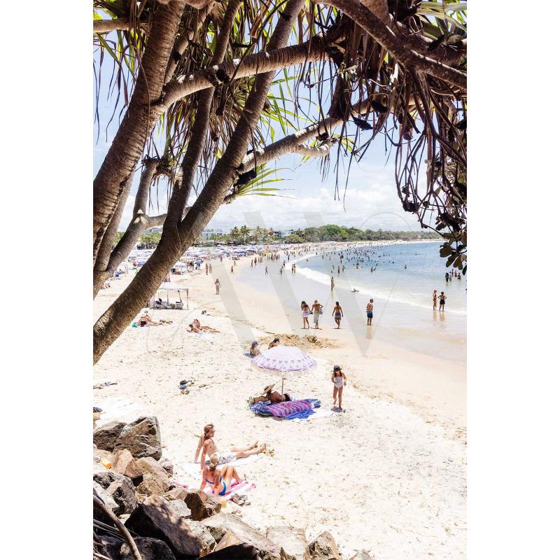 Enjoy a vibrant Noosa Main Beach scene captured in the Noosa Main Beach Image 4840 from AWP Image Library. The image features sunbathers relaxing on the sand and swimmers enjoying the ocean, all framed by trees offering shade. With a clear sky and scattered beachgoers embracing the summer weather, this image is ideal for editorial use.