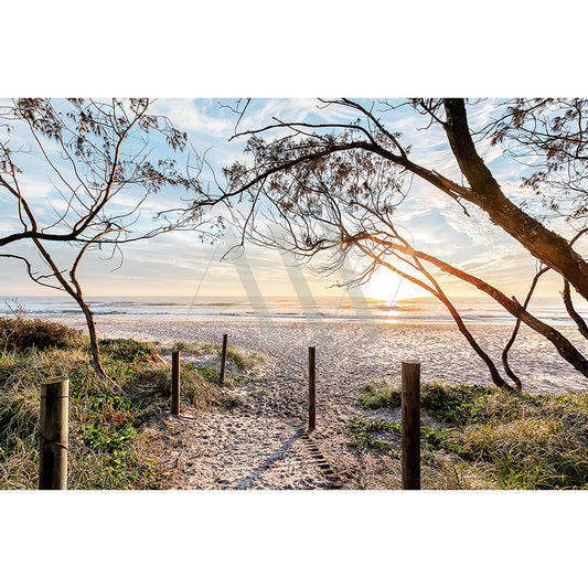 Sunshine Beach Image 0601 by AWP Image Library captures a sandy path to an empty beach at sunrise with gentle waves, framed by trees on both sides and soft clouds lit by the rising sun.