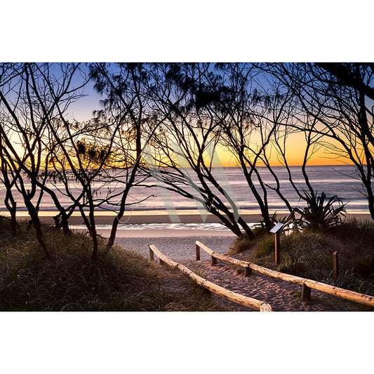 The AWP Image Library presents Sunshine Beach Image 0724, featuring a sandy path with wooden rails through silhouetted trees to a beach at sunrise, with a deep blue to orange gradient sky reflecting on calm ocean waves.