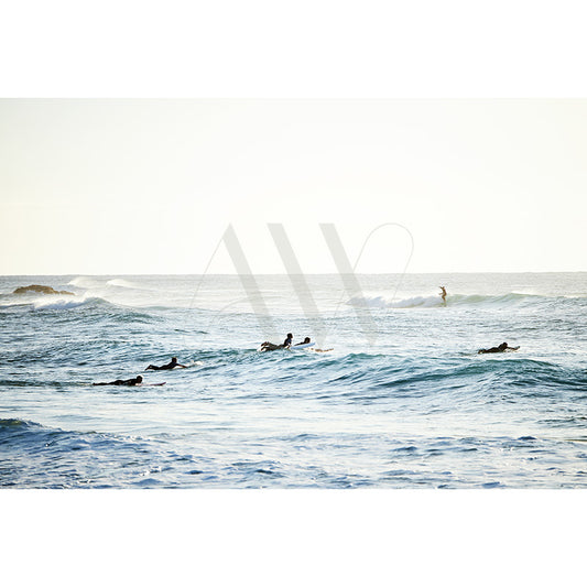 The Sunshine Beach Surfers image 8706 from the AWP Image Library captures surfers and paddlers enjoying the ocean under a bright, clear sky with gentle waves breaking in the background, creating a dynamic and lively scene.